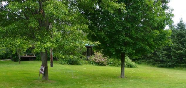 The South Glenora Tree Farm Bed & Breakfast Dundee Bagian luar foto