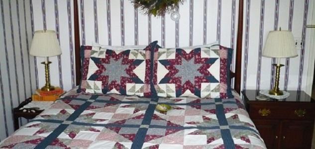 The South Glenora Tree Farm Bed & Breakfast Dundee Bagian luar foto
